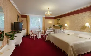 Hotel Ostrov - Chambre