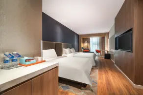 Holiday Inn Express Zhengzhou Guancheng by IHG - Camera