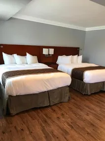 Rex Motel - Chambre