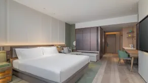 Holiday Inn Wenzhou Airport by IHG - Room
