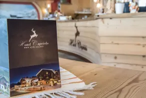 Hotel Capriolo - Reception