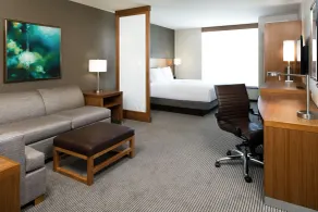 Hyatt Place Kansas City Lenexa City Center - Chambre