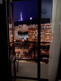 Alliance Hotel - View from room