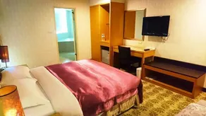 Metropolis Hotel - Chambre