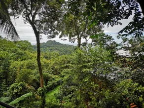 Mango Moon Villa - View from room