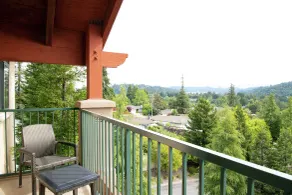 Hilton Santa Cruz/Scotts Valley - Vue de la chambre