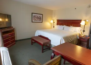 Hampton Inn by Hilton Guadalajara-Aeropuerto - Room