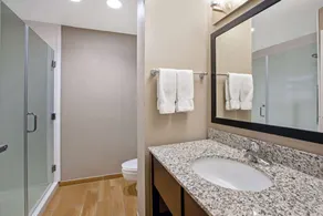 La Quinta Inn & Suites by Wyndham Detroit Metro Airport - Salle de bain