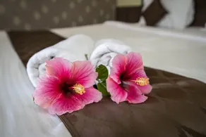 Umbrella Inn - Room
