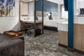 SpringHill Suites by Marriott Charlotte Airport Lake Pointe - Room