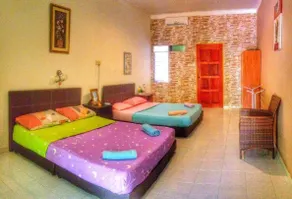 sleepy hollow guesthouse - Room