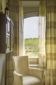 Tenuta Montemagno Relais & Wines - View from room