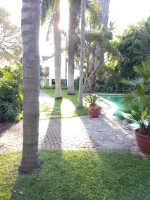 Eskulaap Hotel - Pool