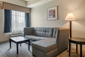 Comfort Inn & Suites Port Charlotte-Punta Gorda - Chambre
