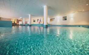 Mountain Plaza Hotel - Pool