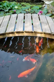 La Villa Des Sens - Piscine