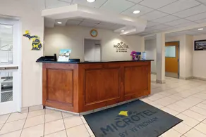 Microtel Inn & Suites by Wyndham Ann Arbor - Lobby