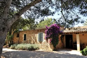 Petit Hotel Es Figueral - Rom