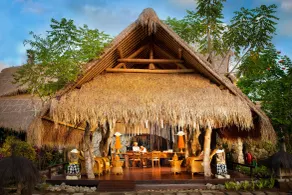 Fivelements Ubud - Reception