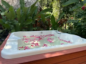 Samana Tropical with DodoMap - Servicio de comidas en la habitación