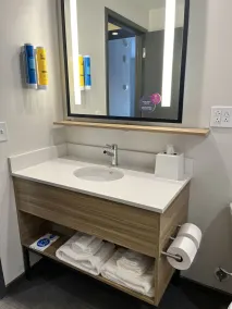 Tru By Hilton St. Louis Downtown - Badezimmer