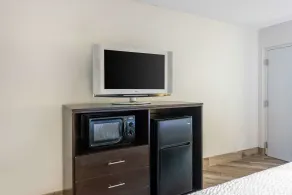 Clarion Inn & Suites Kissimmee-Lake Buena Vista South - Chambre