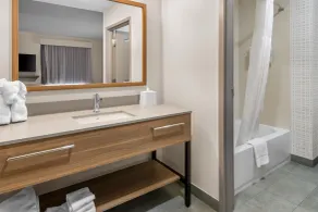 Hampton Inn and Suites Fort Worth/Forest Hill - Badeværelse