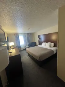 Quality Inn & Suites Green Bay - Ashwaubenon - Chambre