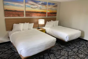 Days Inn by Wyndham Lake Charles - Chambre
