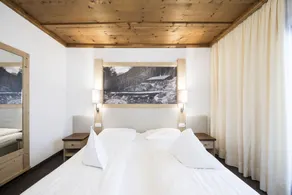 Hotel Alpenhof - Rum