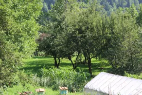 Ecohouse Svaneti - View from room