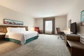 Hilton Garden Inn Seattle Airport - Chambre