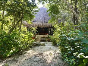 Glamping Bunga Lotus - View from room