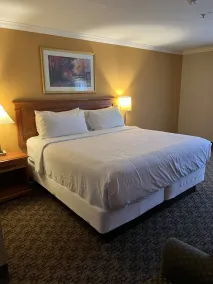 Hotel Xola - Chambre