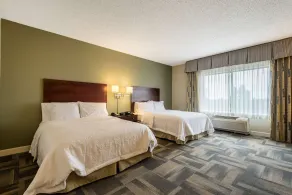 Hampton Inn & Suites Orlando-South Lake Buena Vista - Chambre