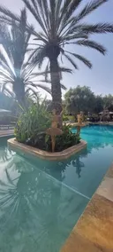 Riad le Jasmin - Pool