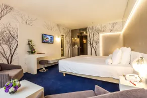 Grand Hotel Plovdiv - Room