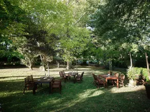 Vineyard Cottages - Kumeu - Rezeption