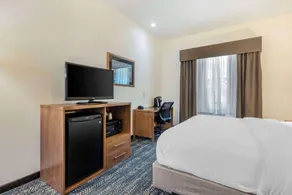 Comfort Inn & Suites Mt Rushmore - Chambre