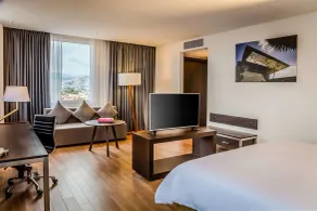 Fiesta Inn Chihuahua Fashion Mall - Chambre