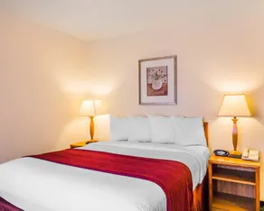 Quality Inn & Suites Golden - Denver West - Chambre