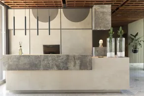 Bellevue Hotel & Resort - Réception