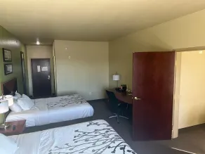 Sleep Inn & Suites at Six Flags - Chambre