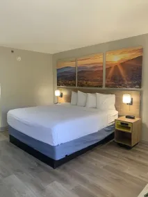 Days Inn by Wyndham Atlanta Stone Mountain - Chambre