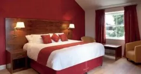Black Swan Inn - Habitación