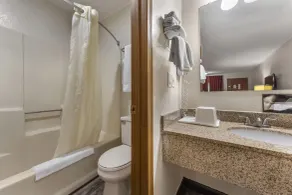 Econo Lodge Wooster - Salle de bain