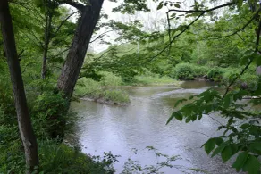 Peyper Fields Creekside Camp - Room