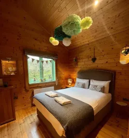 Hollybush Lodges - Zimmer