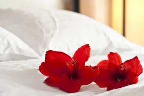 Hotel Acadia - Chambre