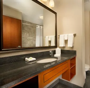 Drury Plaza Hotel Nashville Franklin - Chambre